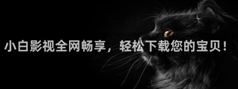 51视频网站观看