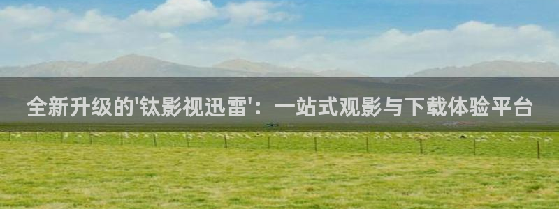 51视频免费观看视频