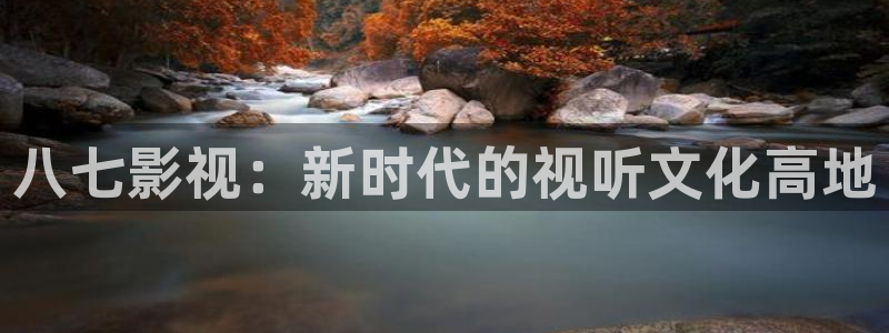 51视频在线播放