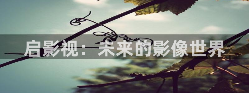 51视频网站观看